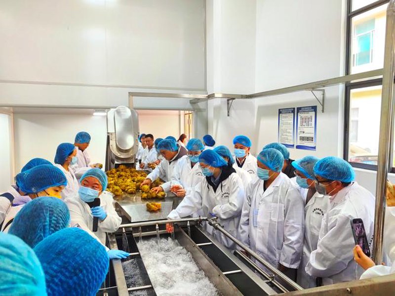 食品技术转让：打破创新壁垒